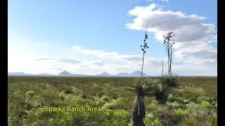 Secluded Beautiful Texas Homestead