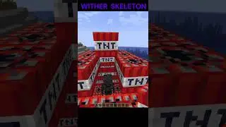 TNT vs 5 Minecraft Mobs &ndash; Who Survives the Blast? 💥#minecraft #minecraftchallenge