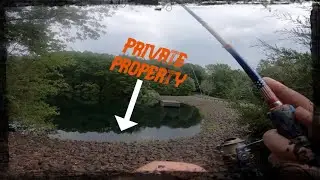 Catching TONS of bass at a RESIDENTIAL PRIVATE POND!