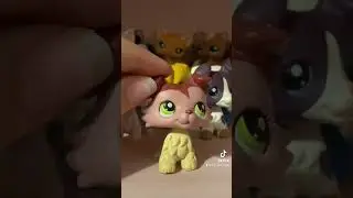 😔💗 they’ll always be in my heart #littlestpetshop #lps #lpscommunity
