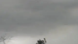 Hojai nilbagan dumuha botahs