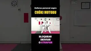 REAL CONTACT KARATE 🤜🤛🥋 Teachings of Choki Motobu