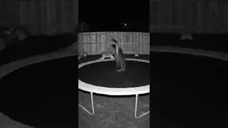 Cat Caught Jumping on Trampoline at Night 😹🌙 | Hilarious Night Cam Moment  #Short
