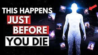 The Last Thought Before Death &mdash; And What It Reveals About Reality