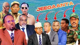Xaqii Reer Hiiraan gaar ahaan Beesha Xawaadle waxaa qaatay Jeegaanta Cusub ee Jaale Hawiye - Waraysi