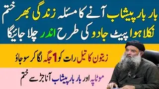 Rumi Quotes Urdu |Best Urdu Quotes on life | Motivational Quotes About Life Urdu | Hikmat Ki Batain