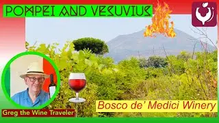 Mount Vesuvius, Pompei, Naples, Bosco de'Medici Winery. PART 1