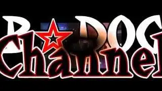 第01回 B☆DOG CHANNEL ～Cafe&Darts Bar 紹介編～