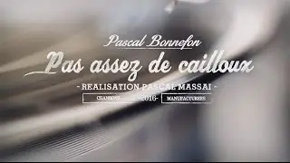 Pas Assez de Cailloux Pascal Bonnefon