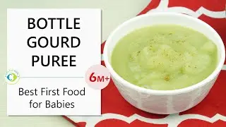 Bottle Gourd Puree - Best First Food for Babies 👶🏻 6 + Months