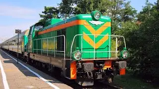 #linia D29-213  Jurata - Hel z okna pociągu / prowadzi SM42-778  [archiwum]  #20080818