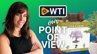 Nature's Blossom Bonsai Tree Kits | Our Point Of View