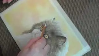 How to Draw Cat's Whiskers