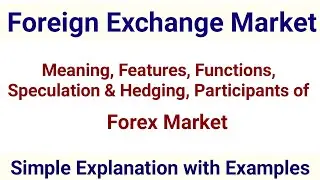 Foreign Exchange Market 🌍 (Forex/FX) | All You Need to Know 💱