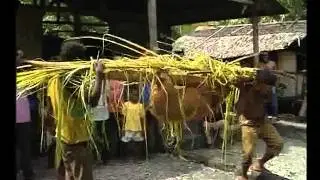 Akibat dari Kerusakan Hutan Eps 4