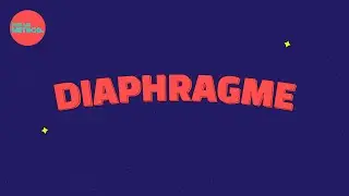Diaphragme contraceptif