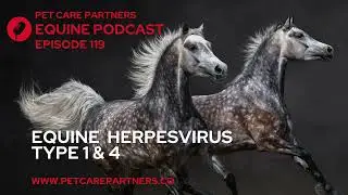 Equine Herpesvirus (EHV-1 & EHV-4) | Causes, Symptoms & Prevention | Pet Care Partners Ep. 119