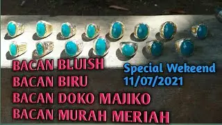 BACAN BLUISH || BACAN BIRU || BACAN DOKO MAJIKO || BACAN MURAH MERIAH