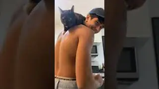 Michael Cimino knows how to take care of a cat, and man look at those abs #lovevictor #michael