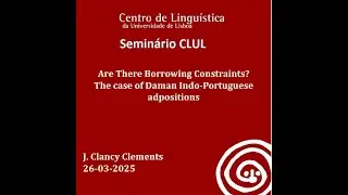 Are There Borrowing Constraints? The case of Daman Indo-Portuguese adpositions