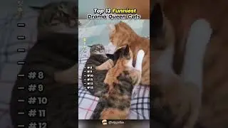 #банк