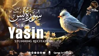 Surah Yaseen (Yasin) سورة يس | Deep Sleep Healing Heart Touching Quran Recitation
