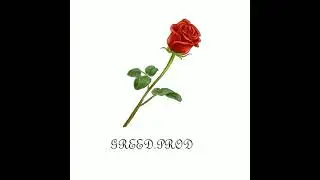 Instru type BANDE ORGANISEE /BANGER| Prod.By GREED