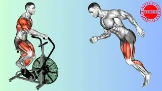 The Ultimate HIIT Cardio Routine for Weight Loss (Follow Along).