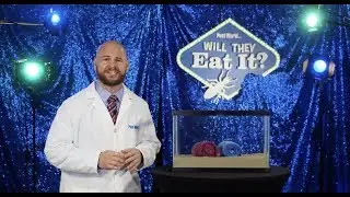 Will They Eat It? - Episode 6: Towels