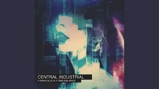 Intrusion Countermeasures Electronics