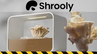 Shrooly , Coltivare funghi in casa, La recensione completa