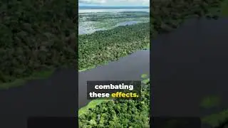 Climate Alert: How Brazil's Floods Signal a Need for Urgent Action!
