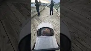 Walking with Gretchen (who walked quite a bit and then I put her in the carriage), Plato by Ocean