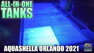 ALL-IN-ONE Custom Saltwater Cade Aquariums - Aquashella Orlando 2021