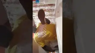 How to clean vans🔥🤘🏾💯👌