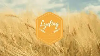 Lyding.