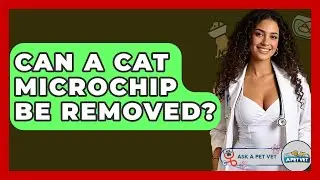 Can A Cat Microchip Be Removed? - Ask A Pet Vet