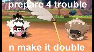 pokemon camp but its the zigzagoon evolution line