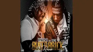 Bust A Brick (Remix)
