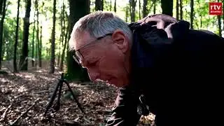 Natuurfotograaf gaat op de knieën voor paddenstoelen 🍄