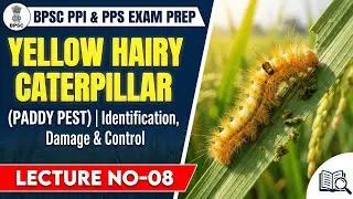 BPSC PPI & PPS Exam Prep | Yellow Hairy Caterpillar of Paddy | Identification, Damage & Control