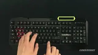 RGB LED Backlit Gaming Keyboard with Anti-ghosting, Light up Keys Multimedia Control, USB Wi Reviews