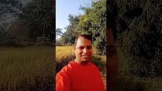 Tor Jaisan Chhodi Gele Diltodi 💔 | Emotional Nagpuri Dance | Heart Touching Performance 2025