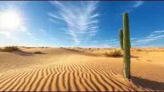 Beautiful Desert Dunes 🌵 | Golden Sand Travel Video | Nature View
