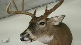 2022 Rifle Buck Pole Sponsors