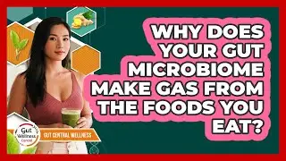 Why Does Your Gut Microbiome Make Gas From The Foods You Eat? - Gut Wellness Central