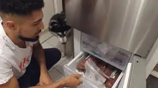 Wir barfen unseren Husky (Schwabenbarf)