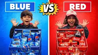 Blue vs Red challenge with sister 😍 | Super Space Gaye 