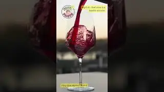 Fitty Diet Myth 4 - Red wine is a health miracle. #shorts