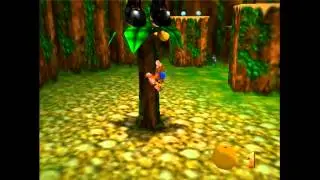 Groovy Groves - Custom Banjo-Kazooie Music [Import Test]